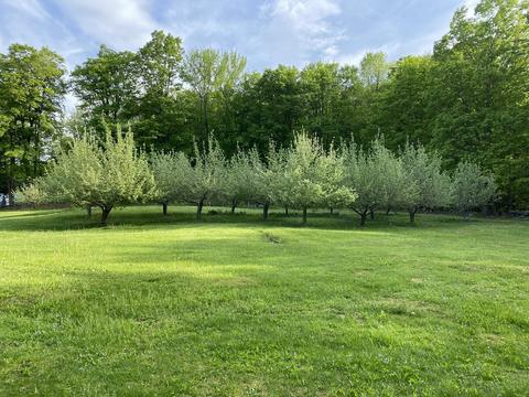 44 Long Hill Rd, Heath, MA 01346 photo 39