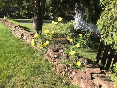 81 White Oak Rd, Springfield, MA 01128 photo 33