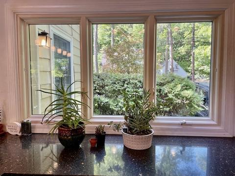 81 Sylvan Rd, Needham, MA 02492 photo 9