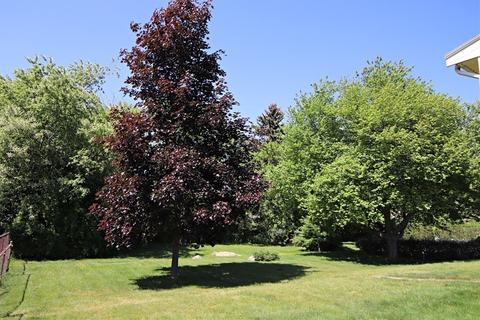 23 School St, Saugus, MA 01906 photo 23