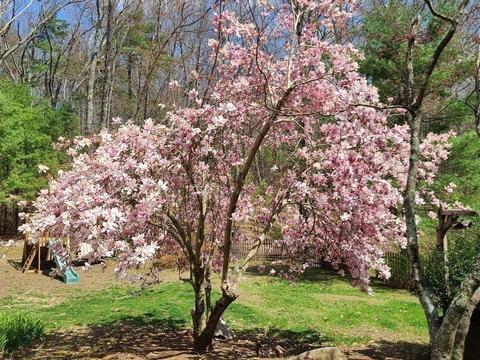 149 Chestnut St, Upton, MA 01568 photo 8