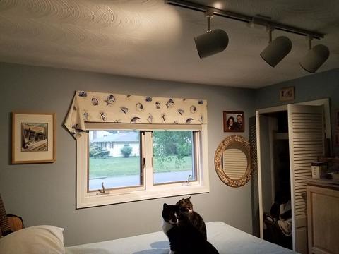40 Donna Rd, Framingham, MA 01701 photo 27