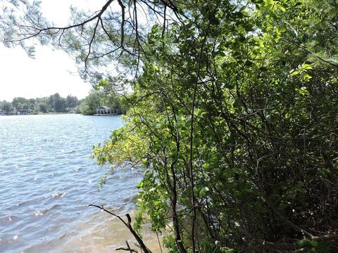 4 Long Is, Webster, MA 01570 photo 4