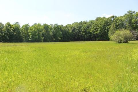 82 Shepardson Rd, Warwick, MA 01378 photo 2