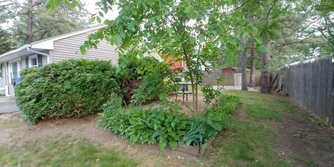 45 Emerald Rd, Springfield, MA 01119 photo 6