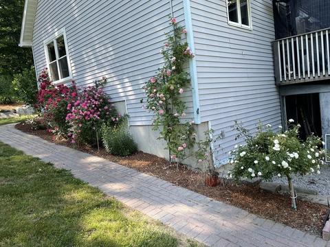 35 Margin St, Worcester, MA 01604 photo 40