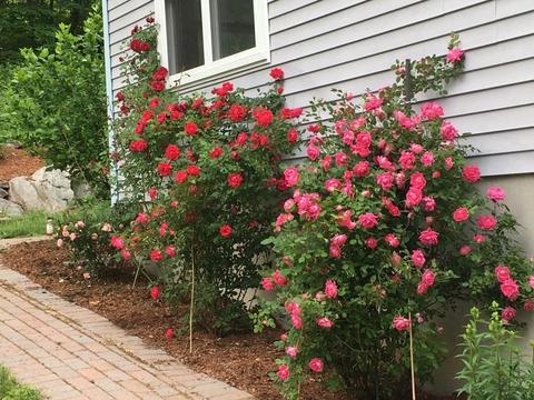 35 Margin St, Worcester, MA 01604 photo 3