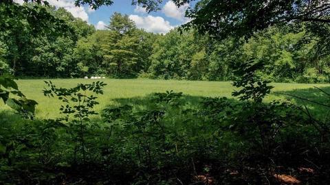 109 Webber Rd, Brookfield, MA 01506 photo 19