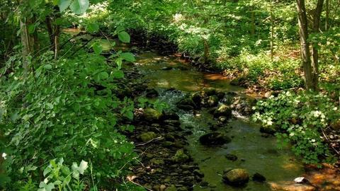 109 Webber Rd, Brookfield, MA 01506 photo 21