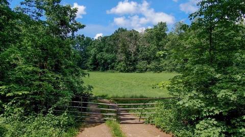 109 Webber Rd, Brookfield, MA 01506 photo 8