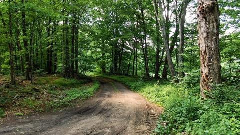 109 Webber Rd, Brookfield, MA 01506 photo 6