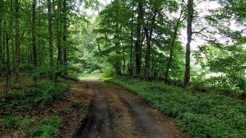 109 Webber Rd, Brookfield, MA 01506 photo 7
