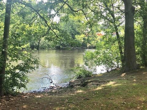 131 Riverside Dr, Dedham, MA 02026 photo 26