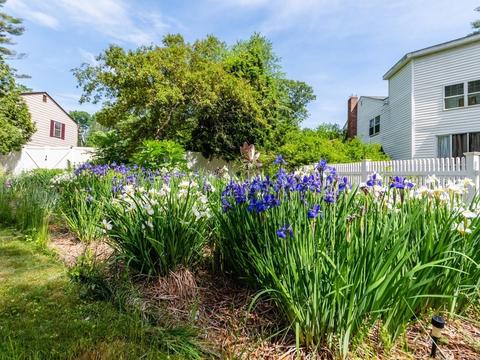 448 Main St, Millis, MA 02054 photo 23