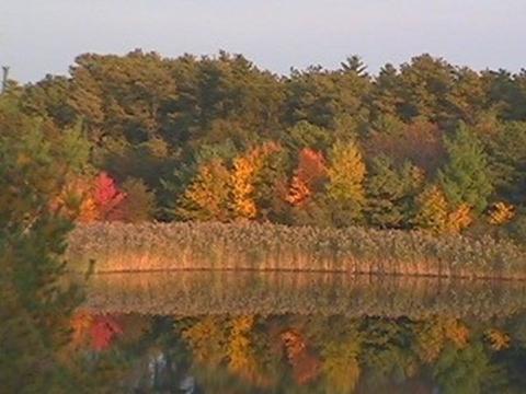 222 Blackmore Pond Rd, Wareham, MA 02576 photo 16