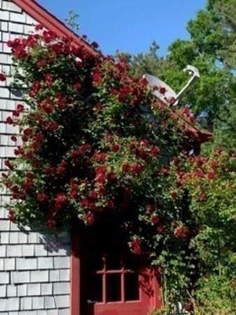 222 Blackmore Pond Rd, Wareham, MA 02576 photo 18