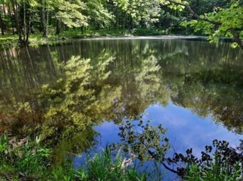 2089 Greenwich Rd, Hardwick, MA 01037 photo 34