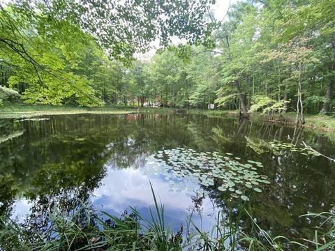 2089 Greenwich Rd, Hardwick, MA 01037 photo 4