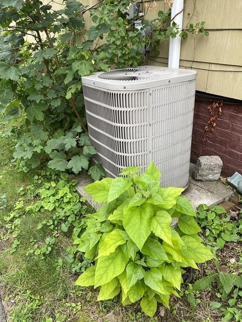 19 Raymond St, Everett, MA 02149 photo 21