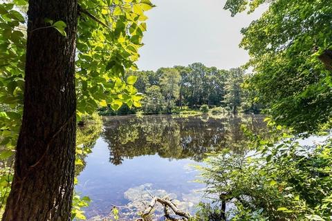 131 Locust Ln, Needham, MA 02492 photo 8