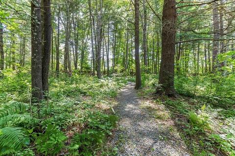 131 Locust Ln, Needham, MA 02492 photo 7