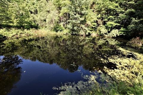 36 Cudworth Rd, Webster, MA 01570 photo 31