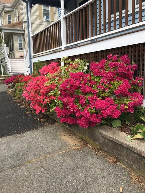 27 Pierce Ave, Beverly, MA 01915 photo 1