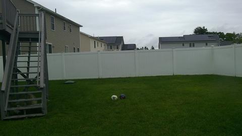 129 Naismith St, Springfield, MA 01104 photo 7