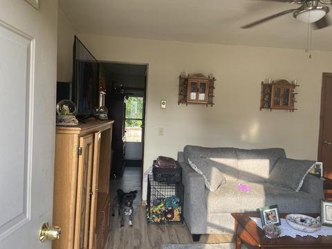 191 Almira Rd, Springfield, MA 01119 photo 13