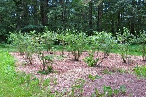 108 Buffam Rd, Pelham, MA 01002 photo 6