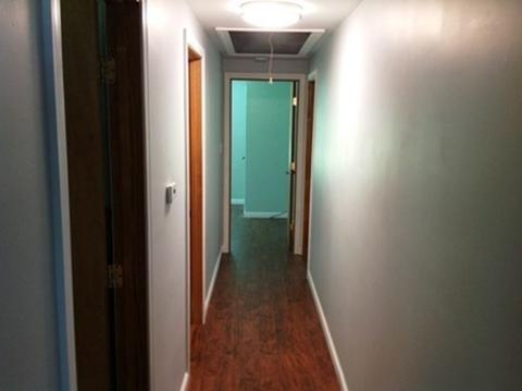 294 Holcomb Rd, Springfield, MA 01118 photo 7