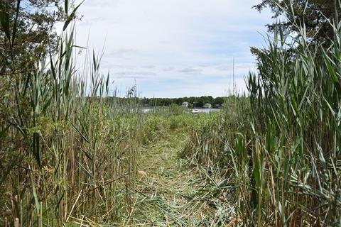 28 Nelson St, Wareham, MA 02571 photo 2