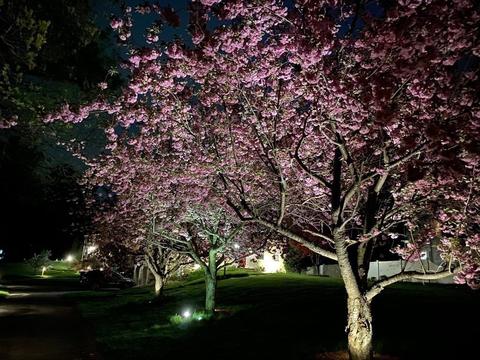 10 Ayer Rd, Acton, MA 01720 photo 26