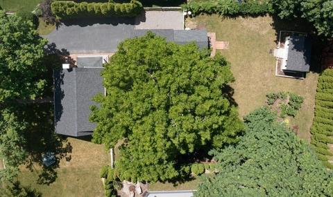 18 Stoddard Rd, Hingham, MA 02043 photo 29