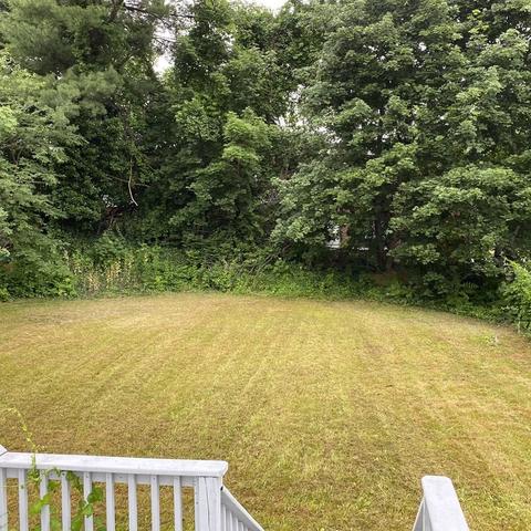 11 Healy Rd, Worcester, MA 01603 photo 13