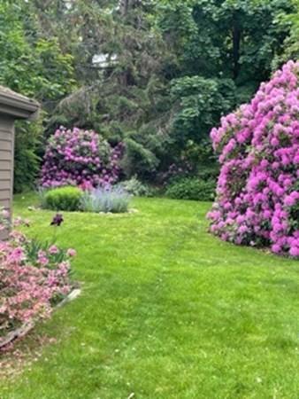 51 Langsford St, Gloucester, MA 01930 photo 9