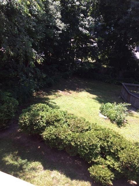 12 Commonwealth, Worcester, MA 01604 photo 15