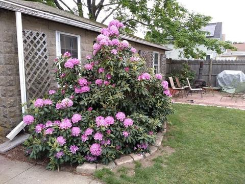 95 Maple St, Attleboro, MA 02703 photo 6
