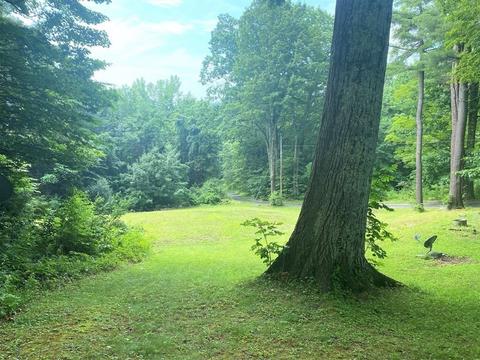 1126 Ashfield, Conway, MA 01341 photo 29
