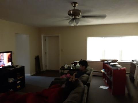 245 Kent Rd, Springfield, MA 01129 photo 10