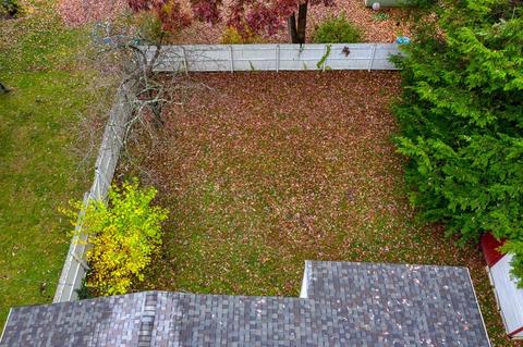 41 Louis Rd, Springfield, MA 01118 photo 4