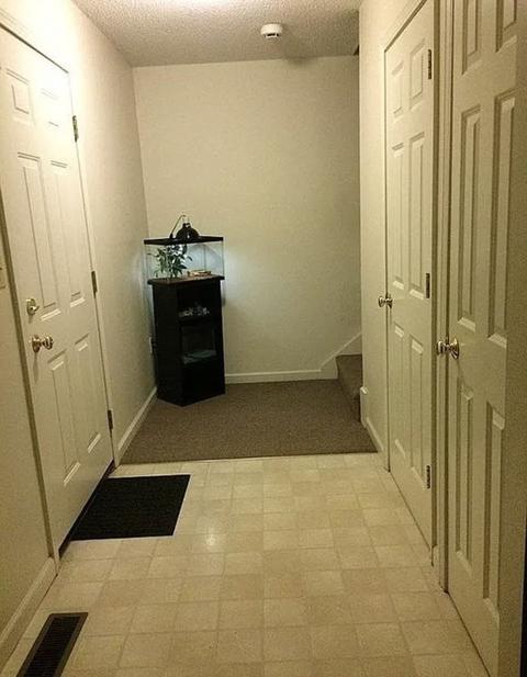65 Rivers Ave, Chicopee, MA 01013 photo 9