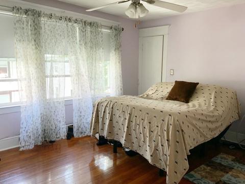 15 Meredith St, Springfield, MA 01108 photo 13