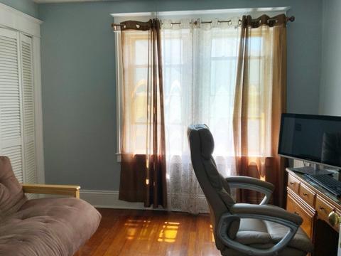 15 Meredith St, Springfield, MA 01108 photo 15