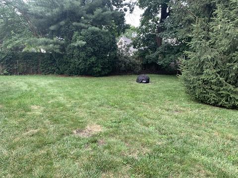 100 Audubon St, Springfield, MA 01108 photo 14