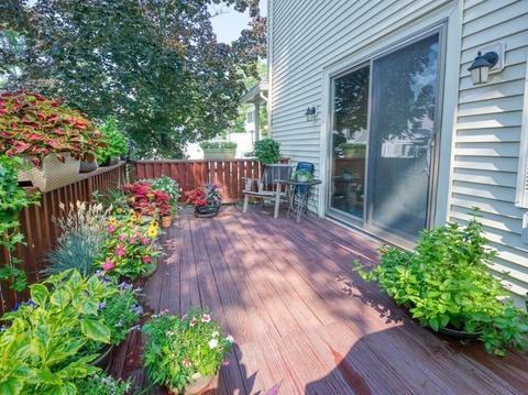 136 Hamilton St, Worcester, MA 01604 photo 21