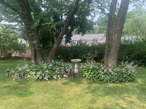 43 Maple St, Framingham, MA 01702 photo 34