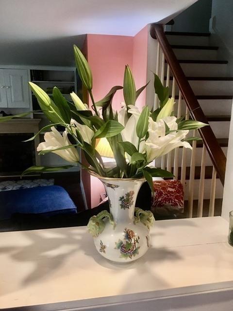 137 Belknap Rd, Framingham, MA 01701 photo 9