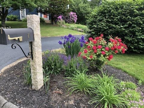 7 Grasshopper Ln, Walpole, MA 02081 photo 3