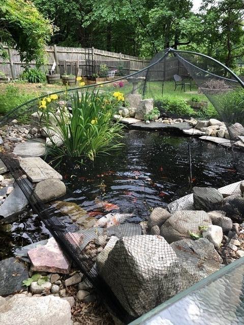7 Grasshopper Ln, Walpole, MA 02081 photo 36